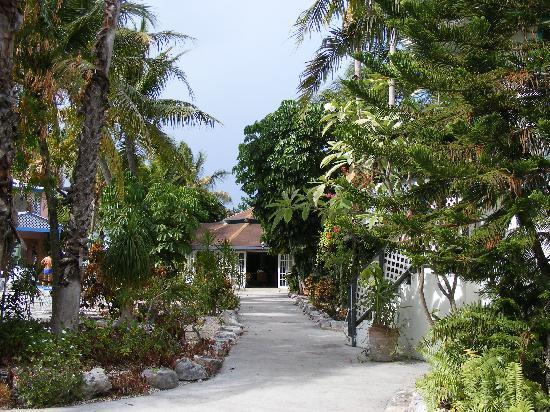 Turtle Cove Inn ภายนอก รูปภาพ